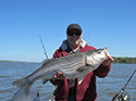 View the 2013 Striper Fishing on the Hudson River Photo Gallery