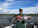 View the 2015 Striper Fishing on the Hudson River Photo Gallery